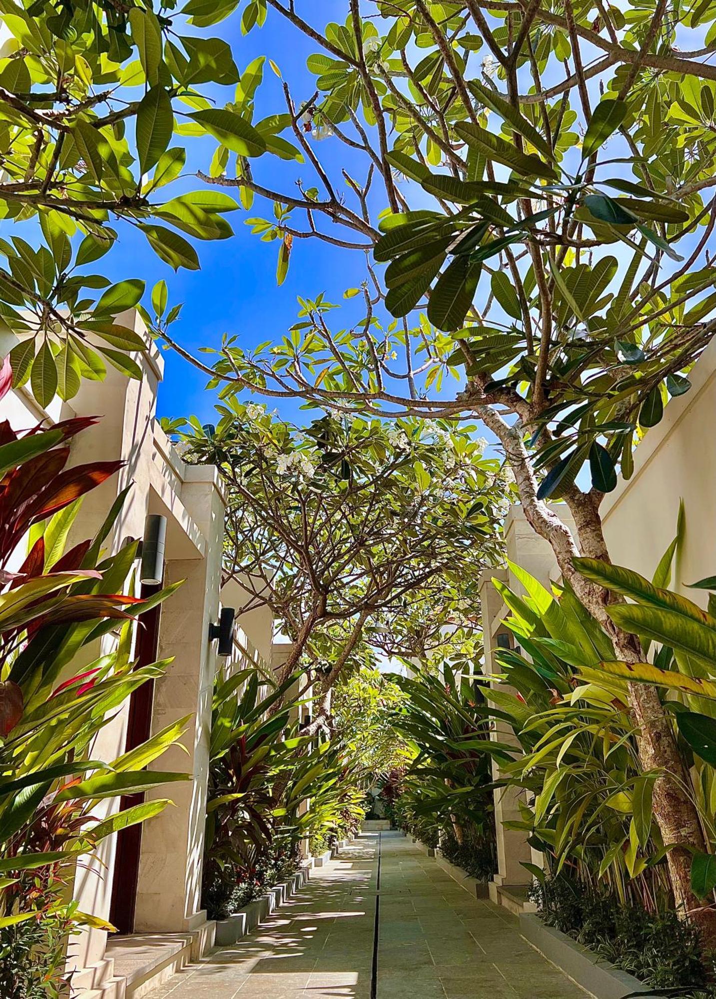 D'Avera Villa Canggu エクステリア 写真